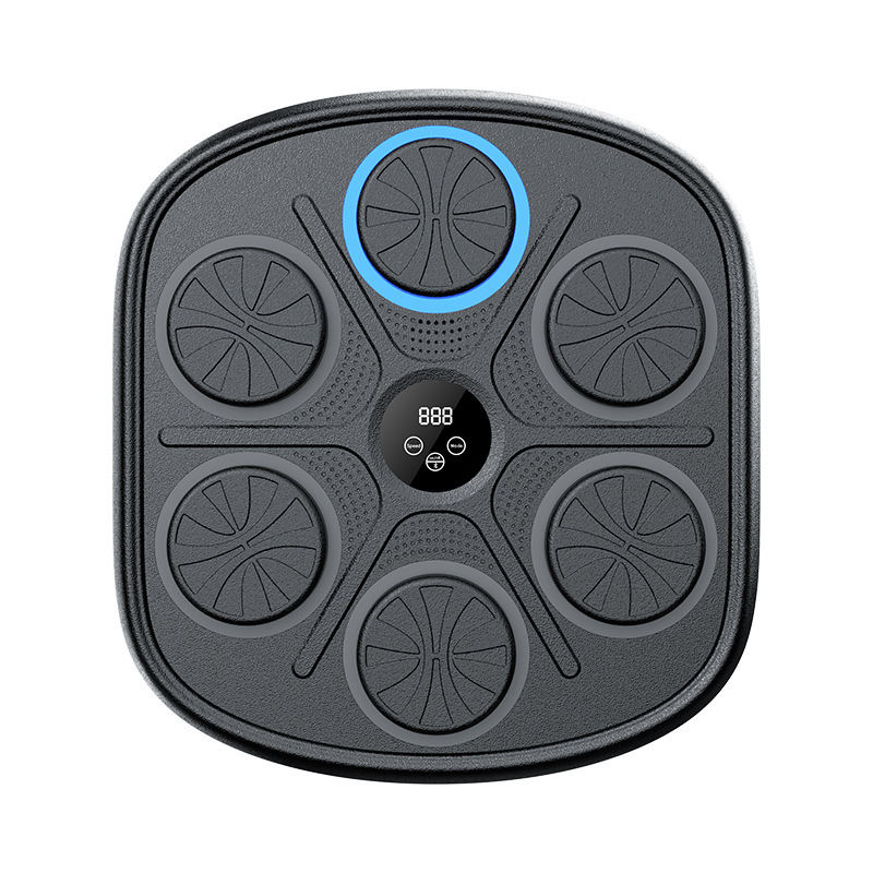 Music Boxing Target Training Wall Target Fitness Equipment - Image 2