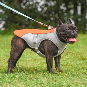 Summer Pet Outdoor Breathable Cooling Vest Summer Pet Outdoor Breathable Cooling Vest